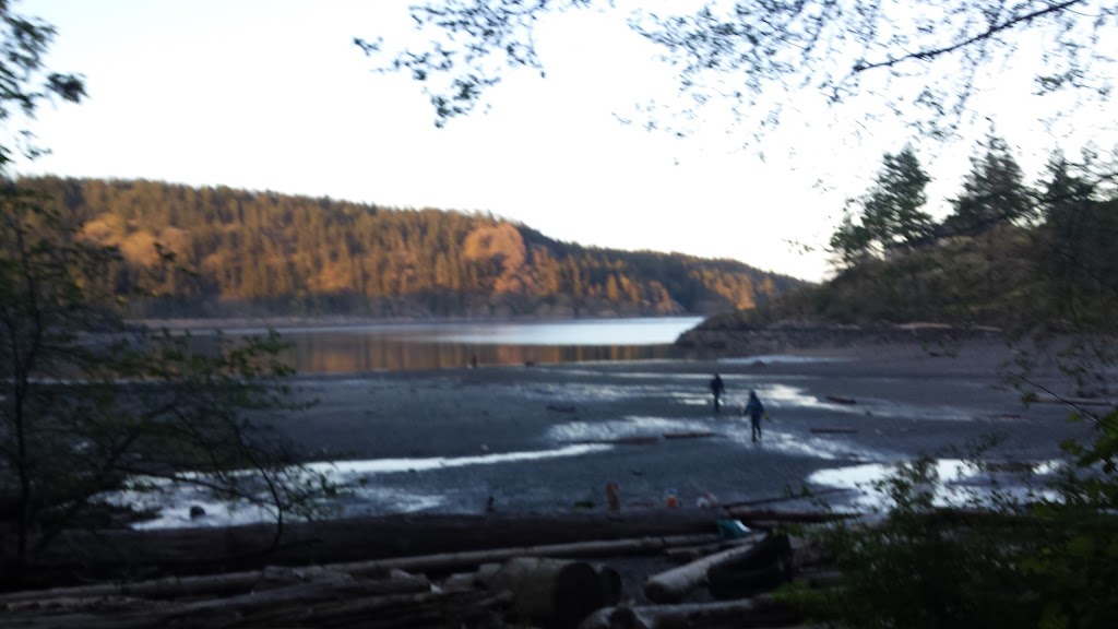 Nimbus Paddles | 1429 W Rd, Heriot Bay, BC V0P 1H0, Canada | Phone: (778) 363-3625