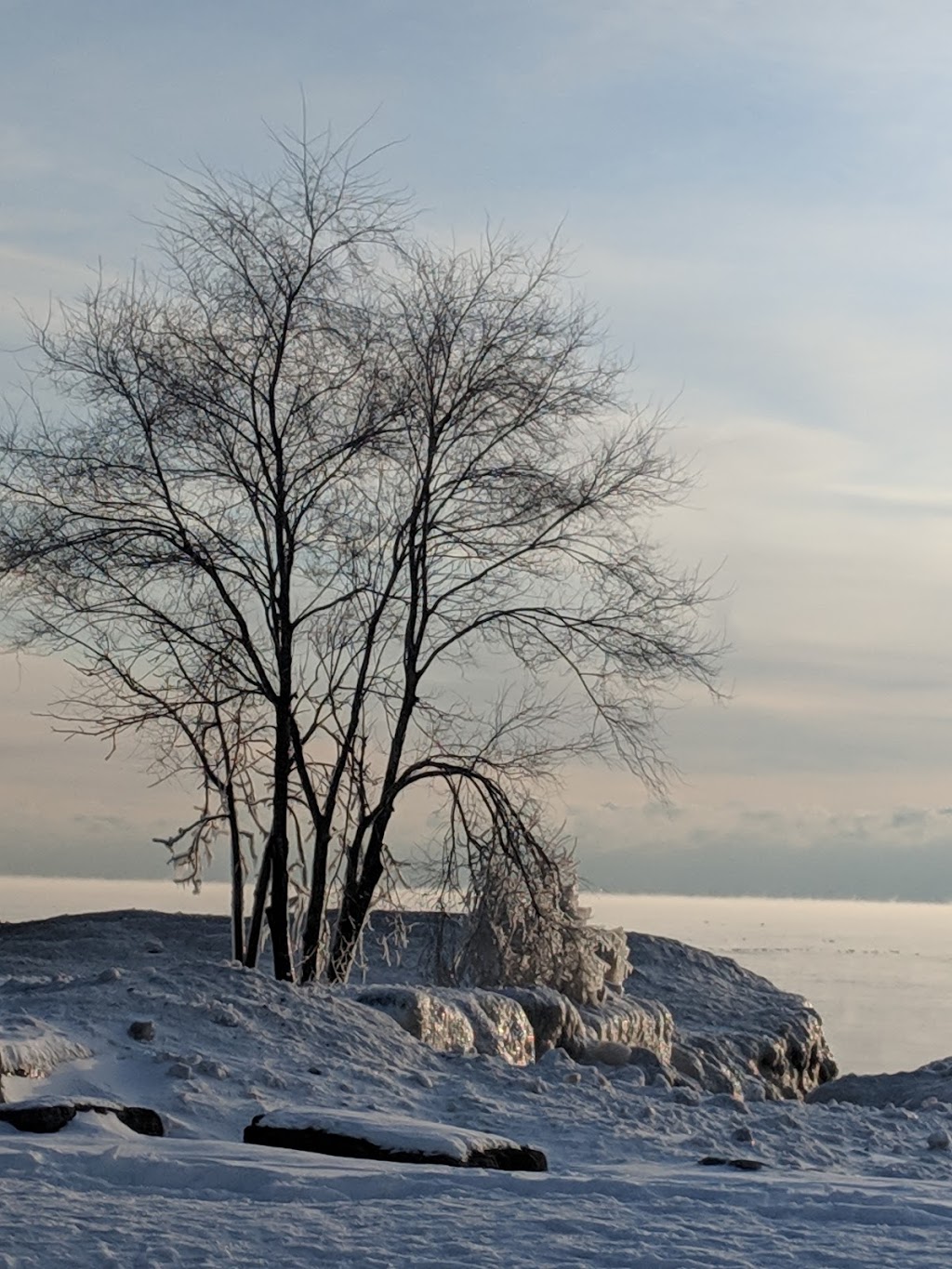 Bronte Bluffs Park | 7 W River St, Oakville, ON L6L 6N9, Canada