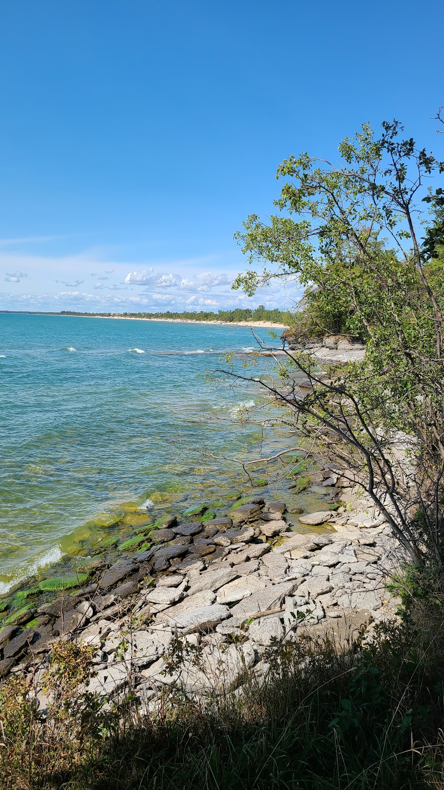 Lakeshore Lodge | 171-341 Lake Shore Lodge Rd, Prince Edward, ON K0K 3L0, Canada | Phone: (613) 393-3319