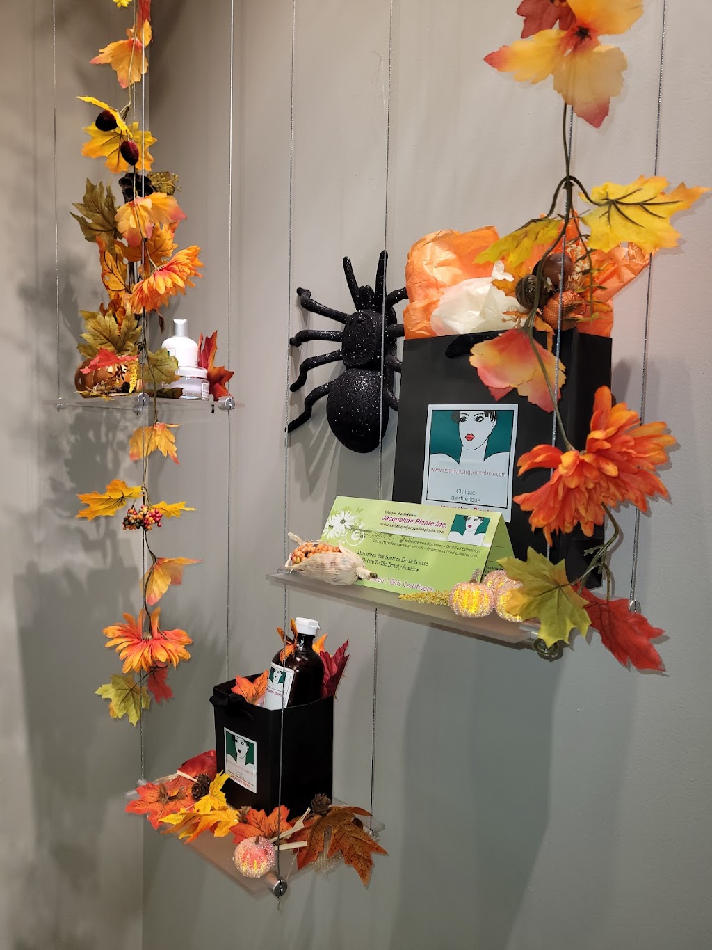Esthetique Jacqueline Plante | 740 Boulevard Cote Vertu Ouest porte 164, Saint-Laurent, QC H4L 5C8, Canada | Phone: (514) 744-0431