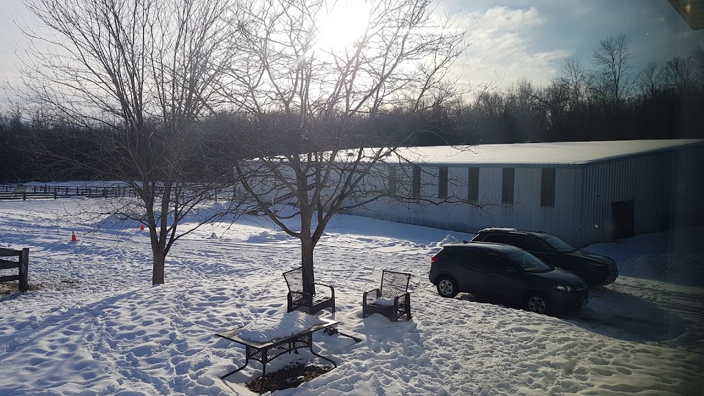 Whitewater Equestrian Centre | 20771 Hwy 17, Pembroke, ON K8A 6W3, Canada | Phone: (613) 633-1331