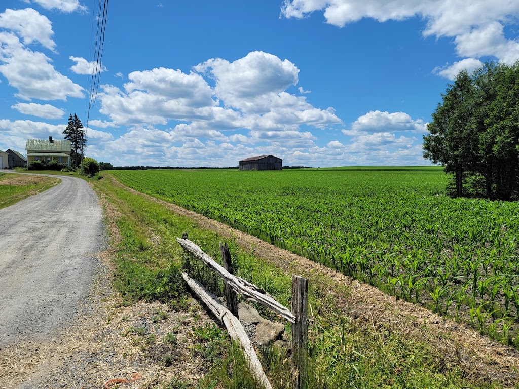 Ferme Perron (La) | 2477 Rang Saint-Jacques, Saint-Jacques, QC J0K 2R0, Canada | Phone: (450) 839-6706