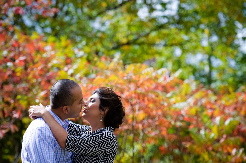STELAR Wedding Photography | 812 King St W #802, Kitchener, ON N2G 1E9, Canada | Phone: (519) 722-8780