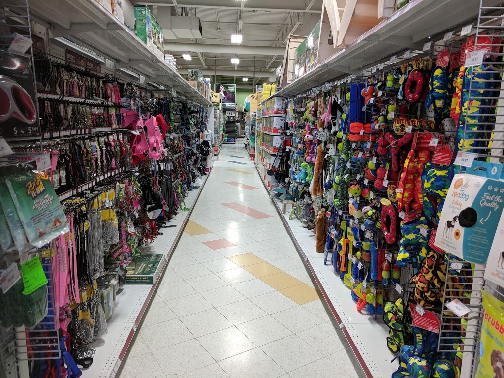 Petland Westhills | 290 Stewart Green SW, Calgary, AB T3H 3C8, Canada | Phone: (403) 686-7929