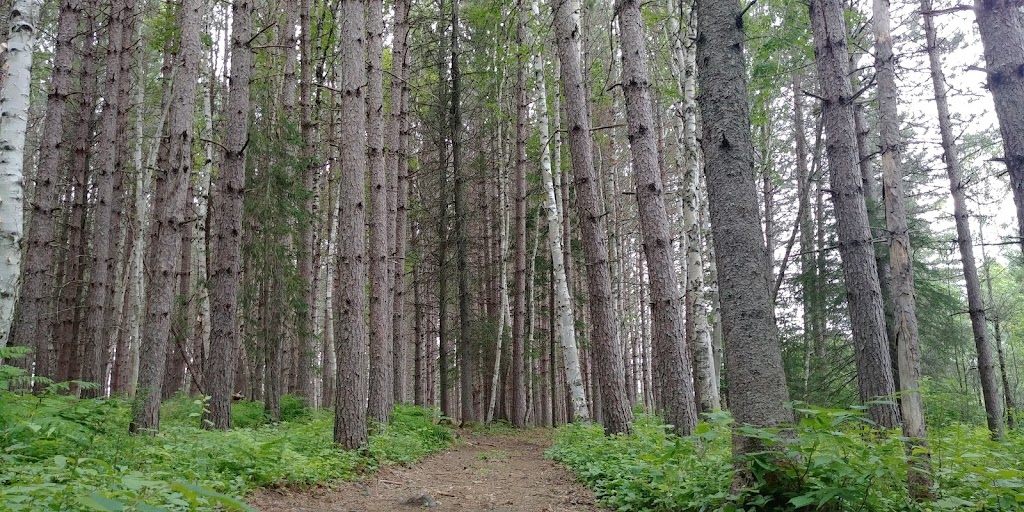Camping Dynastie | 100 Chem. Perreault, Saint-Michel-des-Saints, QC J0K 3B0, Canada | Phone: (450) 833-1024