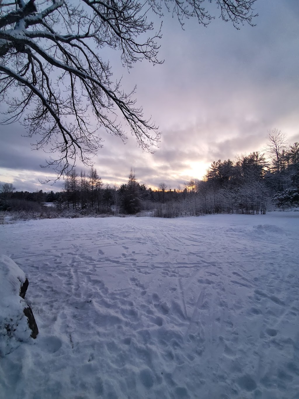 Great Moose Adventures | 1368 Houseys Rapids Rd, Gravenhurst, ON P1P 1R3, Canada | Phone: (705) 687-3903