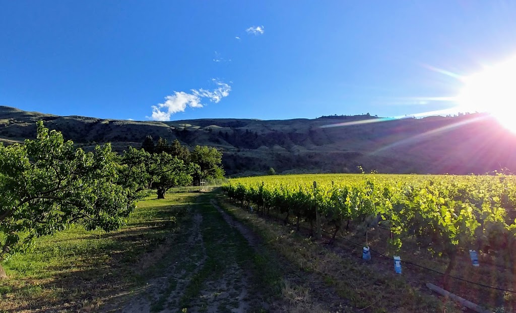 Backyard Farm Chefs Table | 3692 Fruitvale Way, Oliver, BC V0H 1T1, Canada | Phone: (250) 485-2249