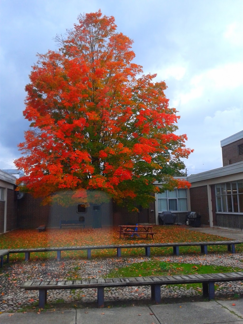 Bayview Secondary School | 10077 Bayview Ave, Richmond Hill, ON L4C 2L4, Canada | Phone: (905) 884-4453