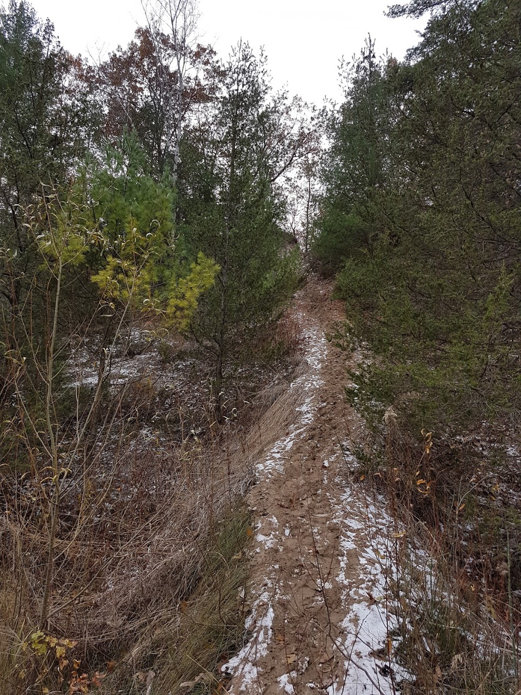 Ausable Bayfield Conservation Authority (ABCA) | 71108 Morrison Line, Exeter, ON N0M 1S5, Canada | Phone: (519) 235-2610