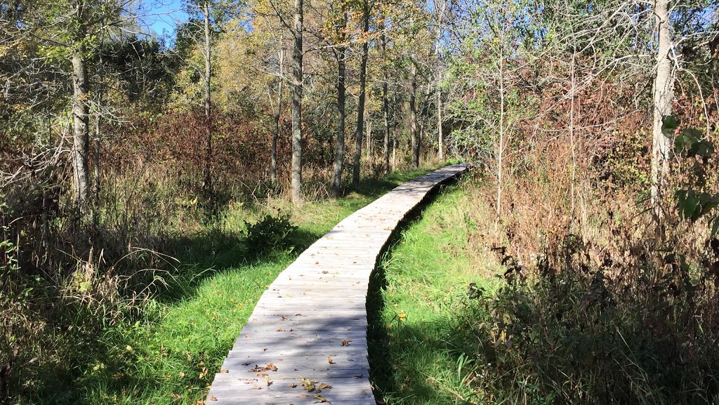 El Dorado Beach Preserve | Grandjean Rd, Henderson, NY 13650, USA | Phone: (315) 387-3600