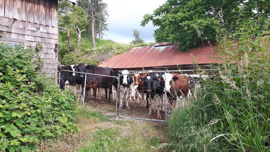 Laurel Farm & Western Supply | 325 W Laurel Rd, Bellingham, WA 98226, USA | Phone: (360) 398-1216