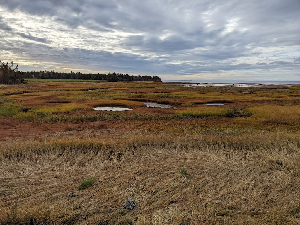Kinlock Creek Park | Harvest Dr, Stratford, PE C1B 0H5, Canada | Phone: (902) 569-1995
