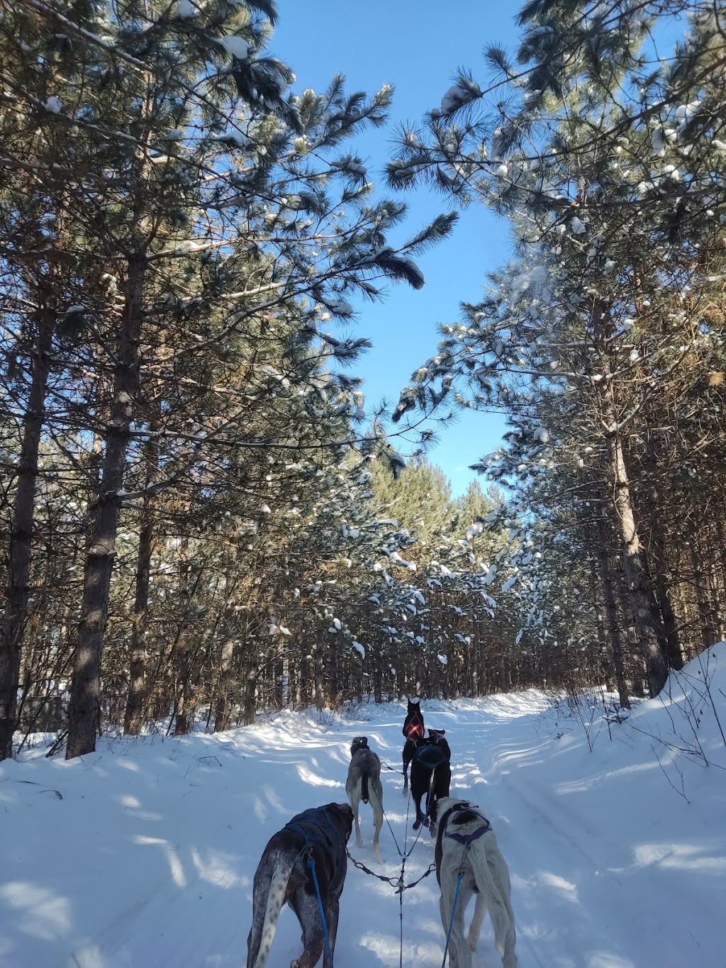 Timberland Tours | 36 Chem. Ragged Chute, Bristol, QC J0X 1G0, Canada | Phone: (819) 647-3185