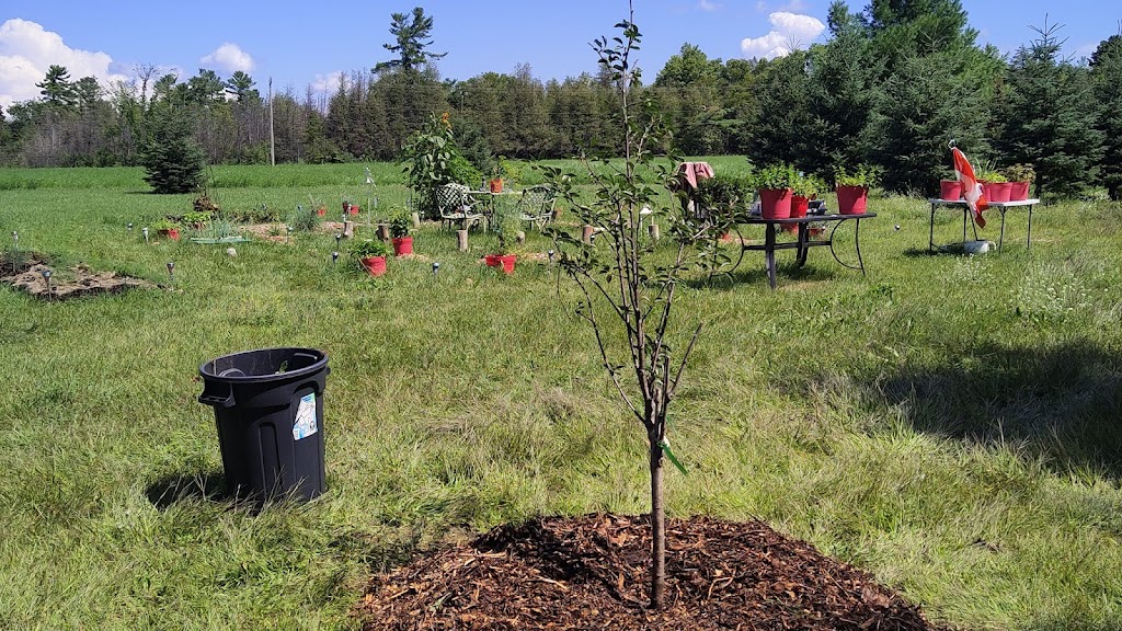 Fernbank Tree House Gardens | 7790 Fernbank Rd, Ashton, ON K0A 1B0, Canada | Phone: (613) 619-7751