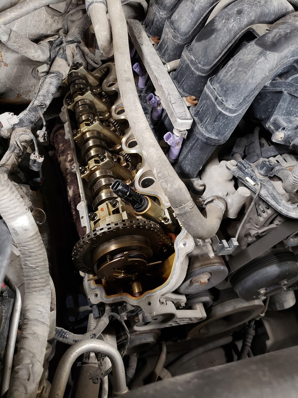 Signature Motors Collision Center | 1429 Clarence Ave, Winnipeg, MB R3T 1T5, Canada | Phone: (204) 452-2602