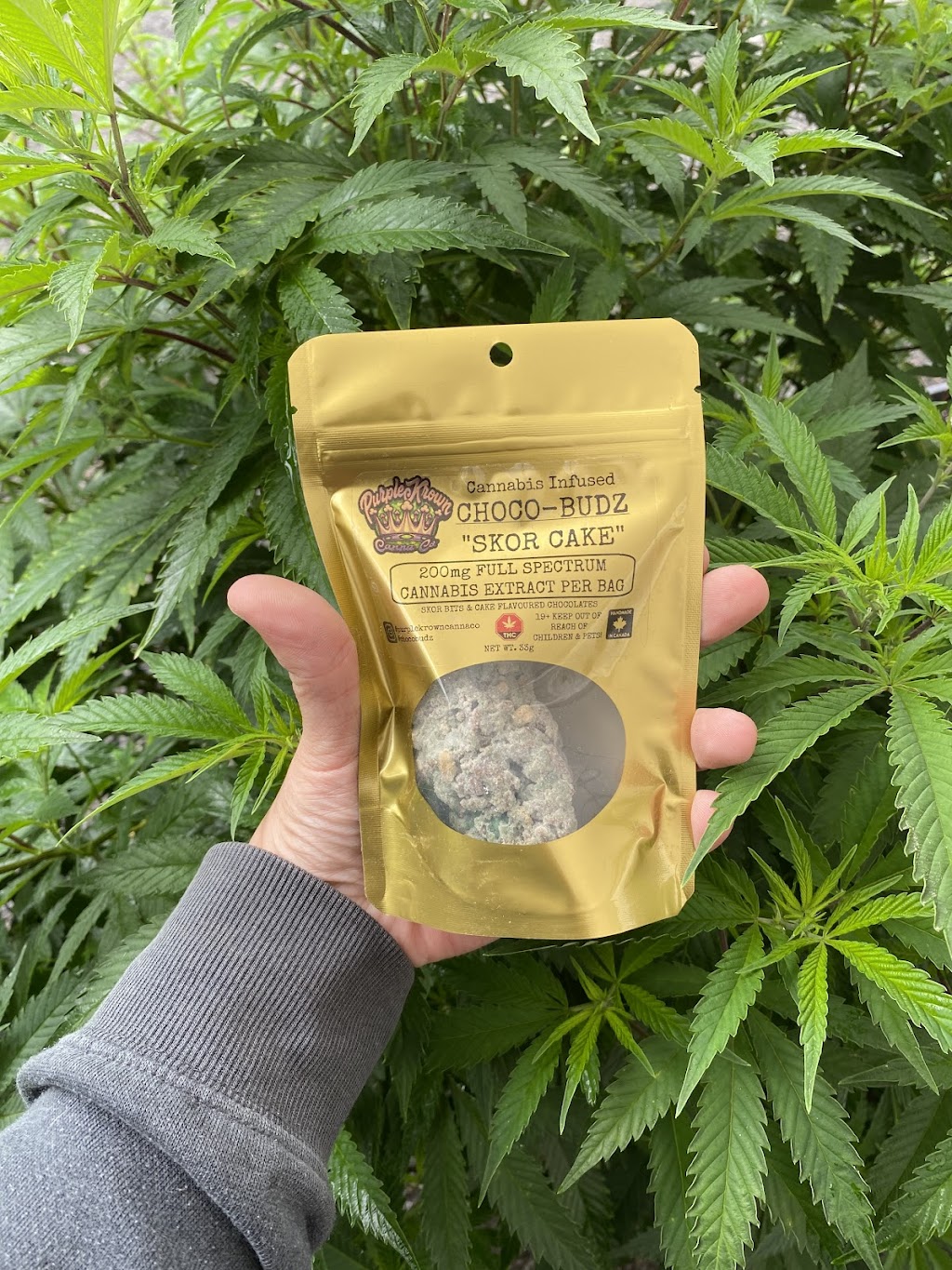 The Medicine Wheel Oka | 435 Rue St Michel, Oka, QC J0N 1E0, Canada | Phone: (514) 929-4420