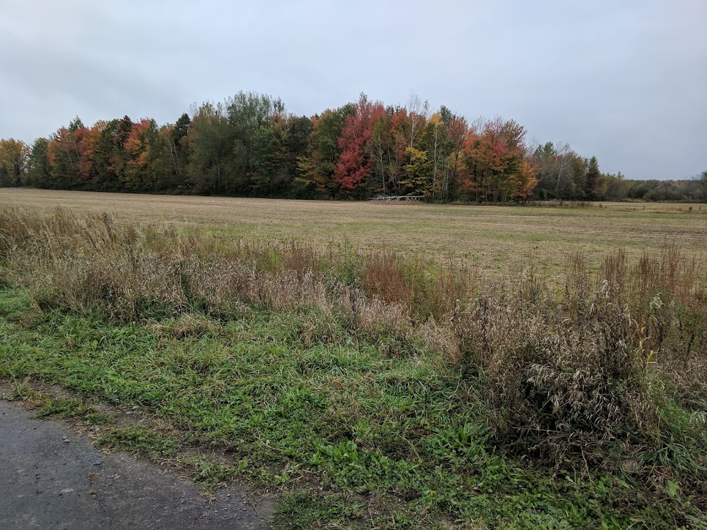 Kings Hill Development | 2464 Cléroux Crescent, Gloucester, ON K1W 1A3, Canada | Phone: (613) 834-7418