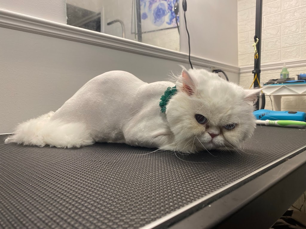 Nataly’s home based grooming salon | Summers Dr, Thorold, ON L2V 4Z9, Canada | Phone: (431) 349-0666
