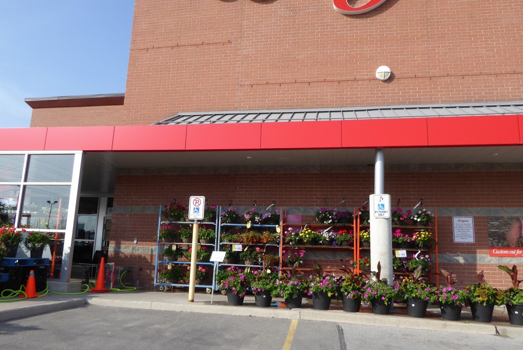 Longos Trafalgar | 338 Dundas St E, Oakville, ON L6H 6Z9, Canada | Phone: (905) 257-5633
