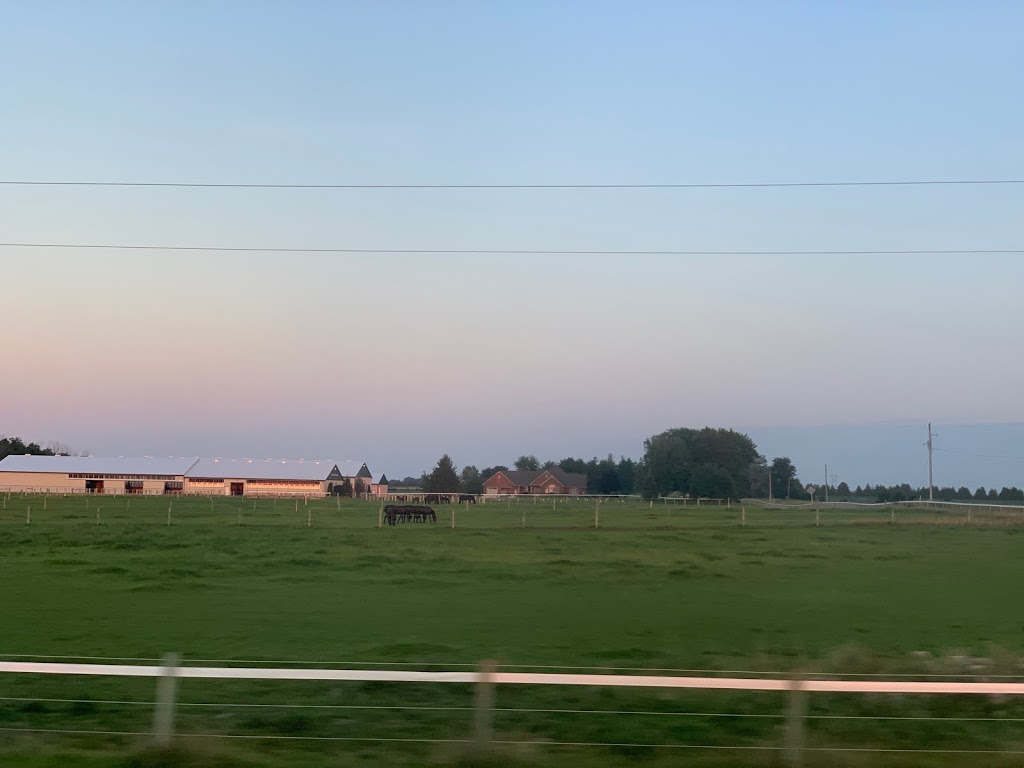 Thomsvue Farms | South Huron, ON N0M 1V0, Canada | Phone: (519) 229-6819