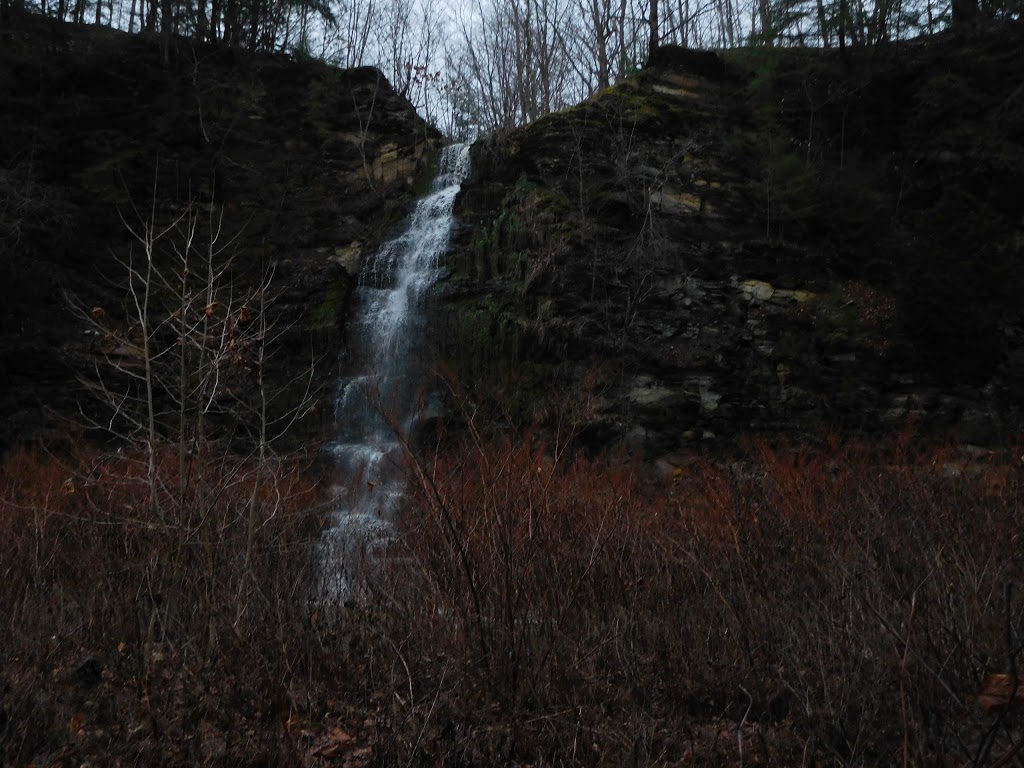 Eighteenmile Creek County Park | Hamburg, NY 14075, USA