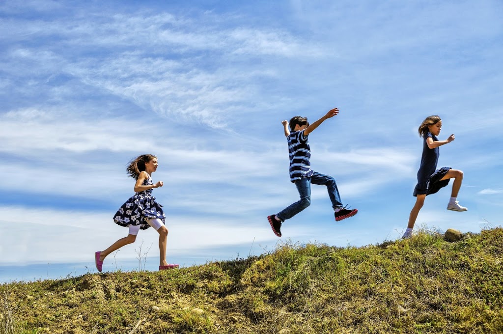 Waterfront Montessori | 18 Wyandot Ave, Toronto, ON M5J 2M9, Canada | Phone: (416) 203-1017