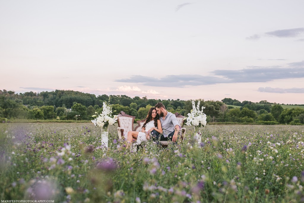 Manifesto Photography | 843 County Road 50 East, Harrow, ON N0R 1G0, Canada | Phone: (519) 567-1335