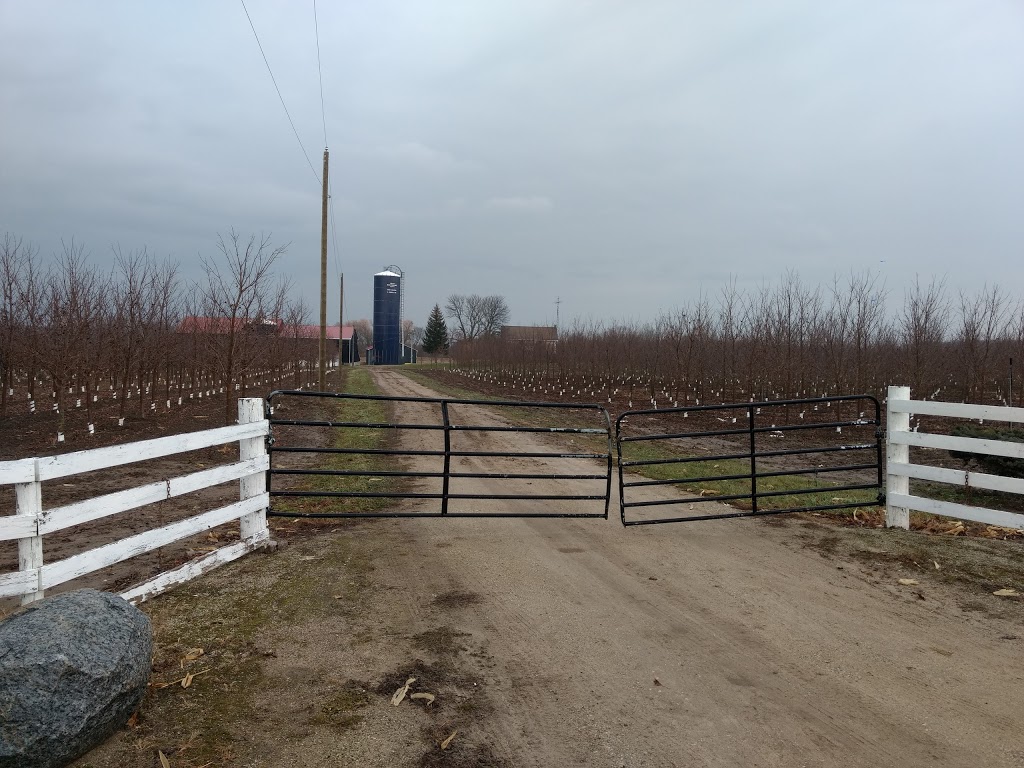 Janda Trees | 1819, County Rd 42, Stayner, ON L0M 1S0, Canada | Phone: (416) 565-4415
