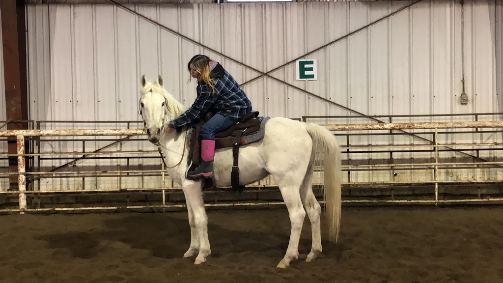 James River Horse Palace | Mountain View County, AB T0M 1C0, Canada | Phone: (403) 638-9494