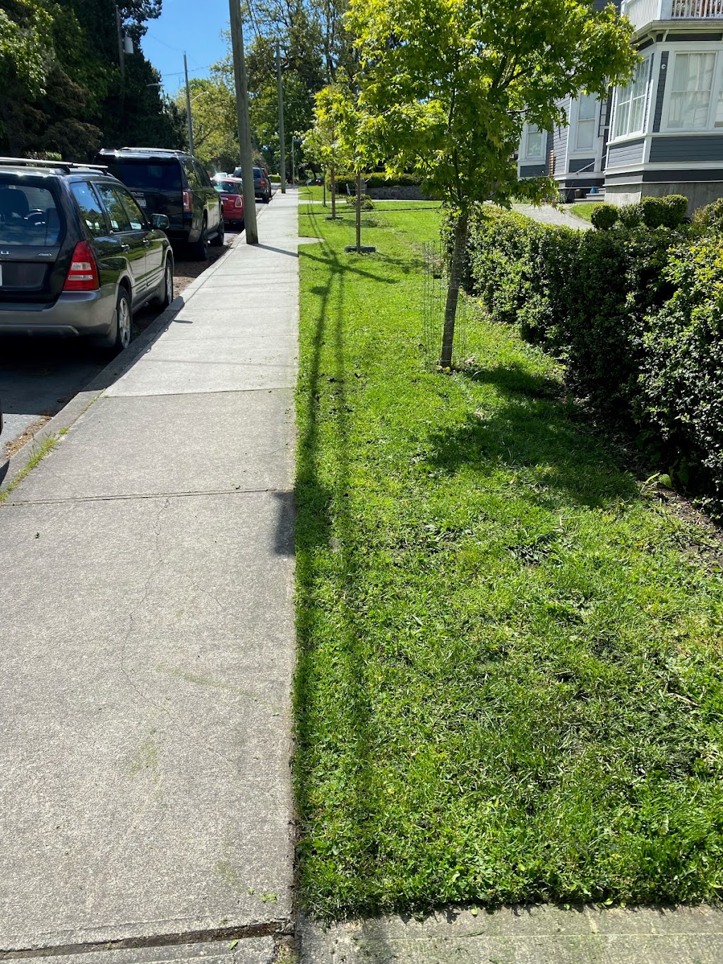 Freshman Landscaping Crew | Jedburgh Rd, View Royal, BC V9B 1K7, Canada | Phone: (250) 516-6687