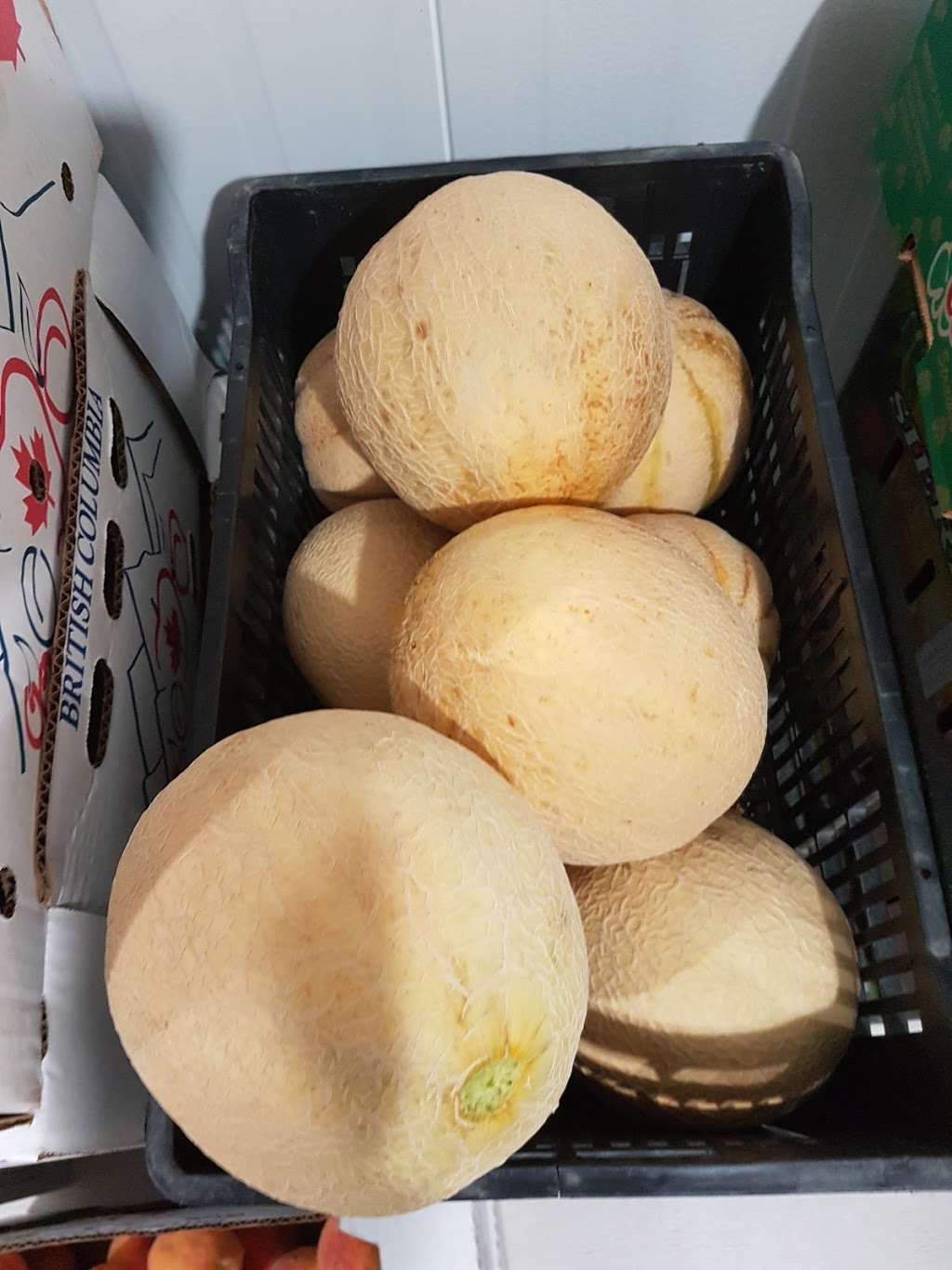 McConnells Fruit Mkt & Orchard | 7305 Solly Rd, Summerland, BC V0H 1Z1, Canada | Phone: (250) 494-5541
