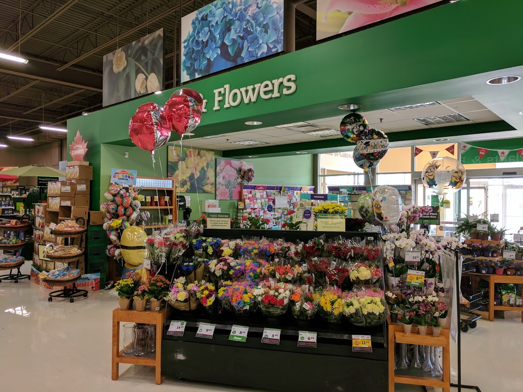 Sobeys Sussex | 5-138 Main St, Sussex, NB E4E 3E1, Canada | Phone: (506) 432-6867