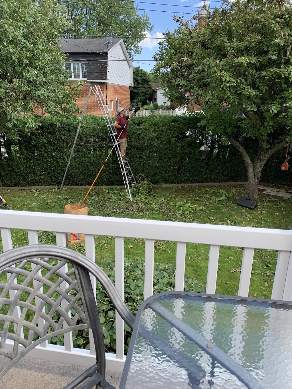 Émondage Red Ladder Tree Services Inc. | 2525 Pl. du Louvet, Saint-Lazare, QC J7T 3L7, Canada | Phone: (514) 696-5205