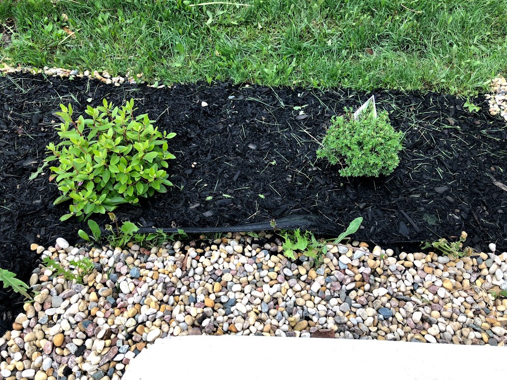 Turf Boss | 1 Yvette St, Oakbank, MB R0E 1J1, Canada | Phone: (204) 805-0787