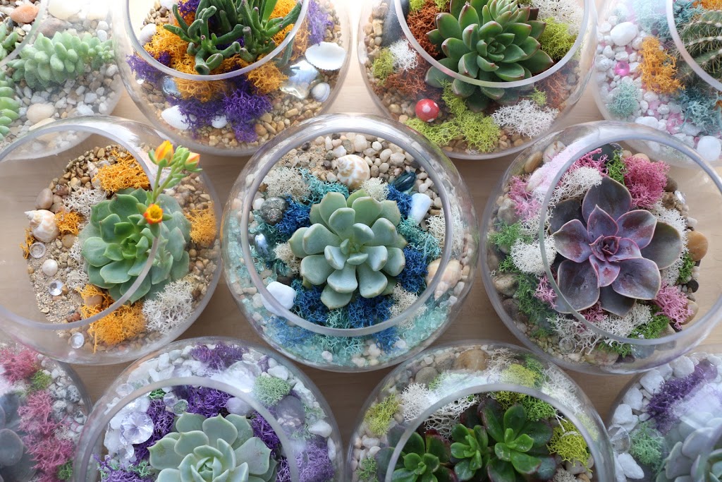 Plant Life | 522 Whitewood Crescent, Saskatoon, SK S7J 4L1, Canada | Phone: (306) 514-2251
