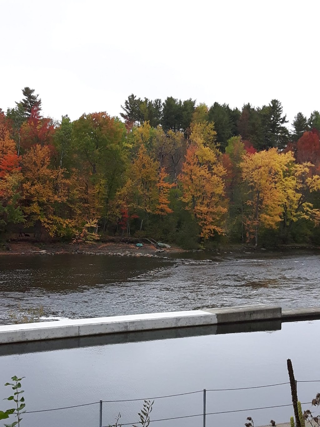 Parc du Barrage | 3268-3266 Rue Galt O, Sherbrooke, QC J1K 3B9, Canada