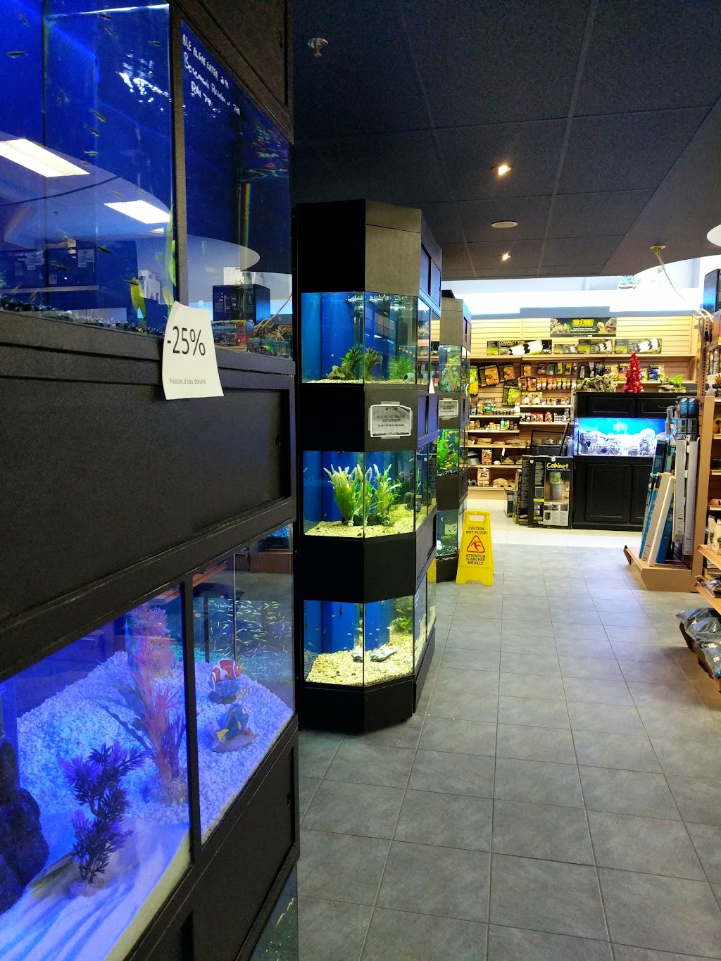 safari pet store laval