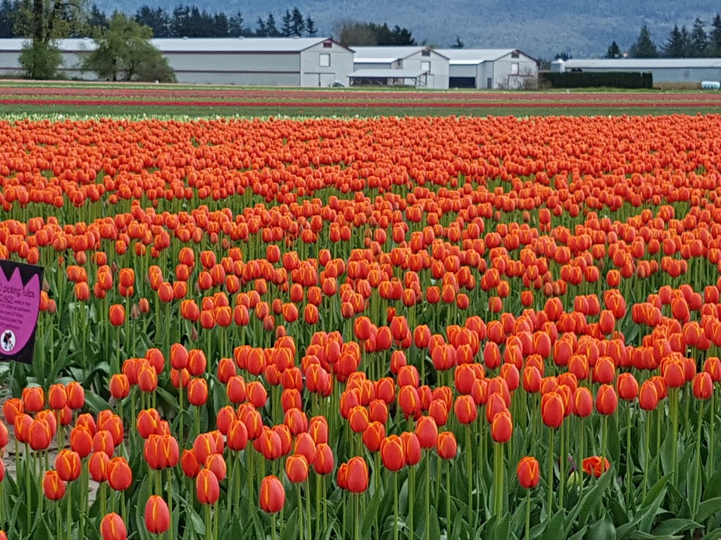 Petro-Pass Truck Stop | 41420 Yale W, Chilliwack, BC V2R 4J3, Canada | Phone: (604) 823-6411