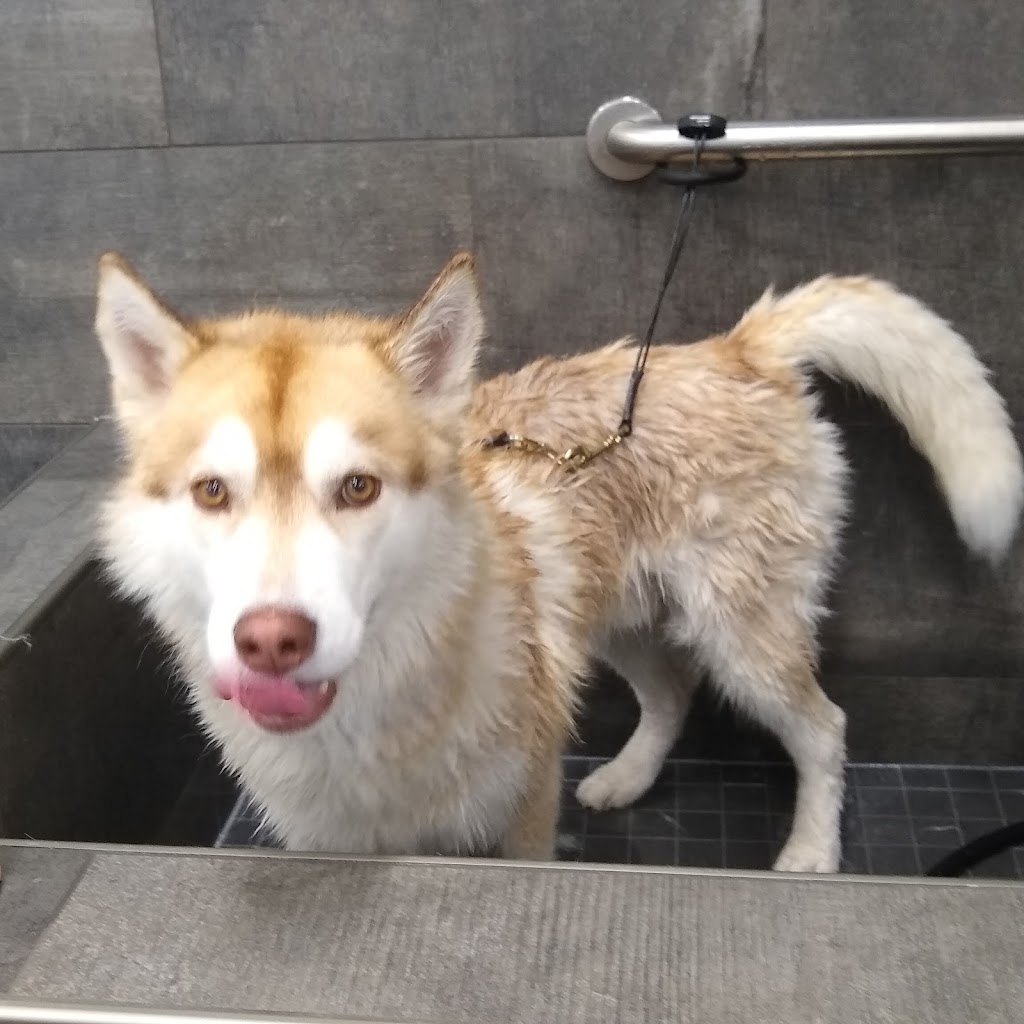 Pet Valu Watters | 900 Watters Road Units 3B & 4, Orléans, ON K4A 0B4, Canada | Phone: (613) 424-0132