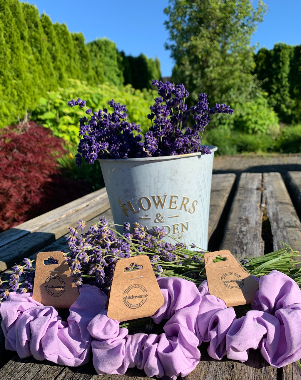 Full Bloom Lavender Farm | 2926 248 St, Langley City, BC V4W 2R2, Canada | Phone: (778) 955-5871