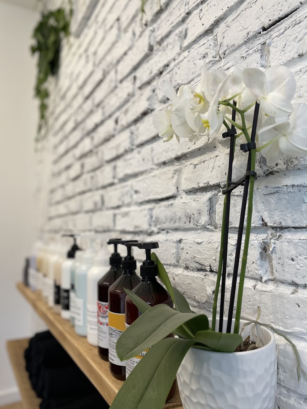 June & Flora Boutique Hair Gallery | 501 Kent St, Ottawa, ON K2P 2B8, Canada | Phone: (613) 233-7777