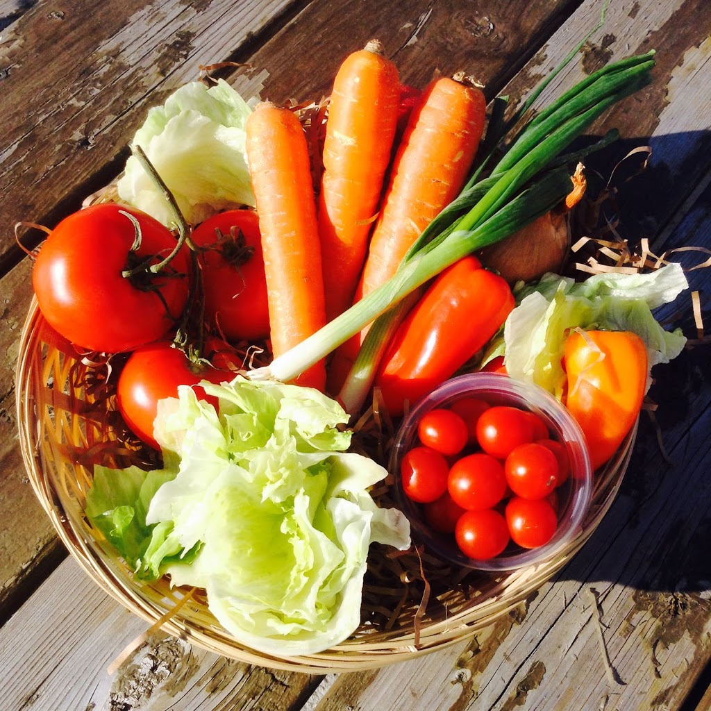 High Spirits Farm | 1 Pacific St, Pontypool, ON L0A 1K0, Canada | Phone: (705) 277-2718