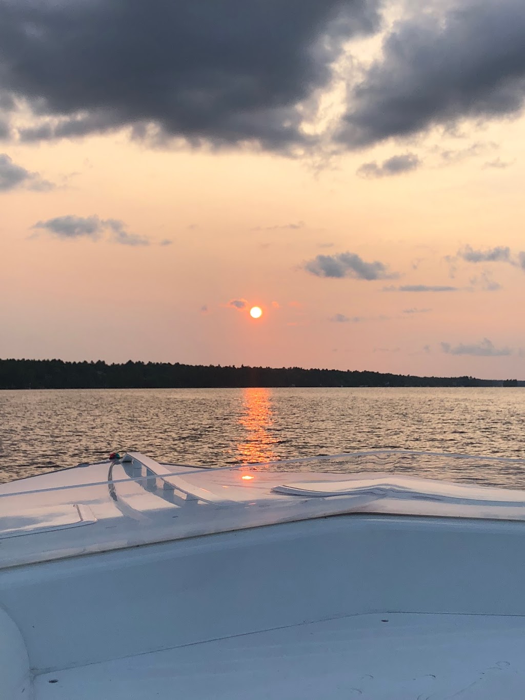 Bin There Dump That Muskoka | 8 Clearstream Ct, Bracebridge, ON P1L 0A3, Canada | Phone: (705) 646-5221