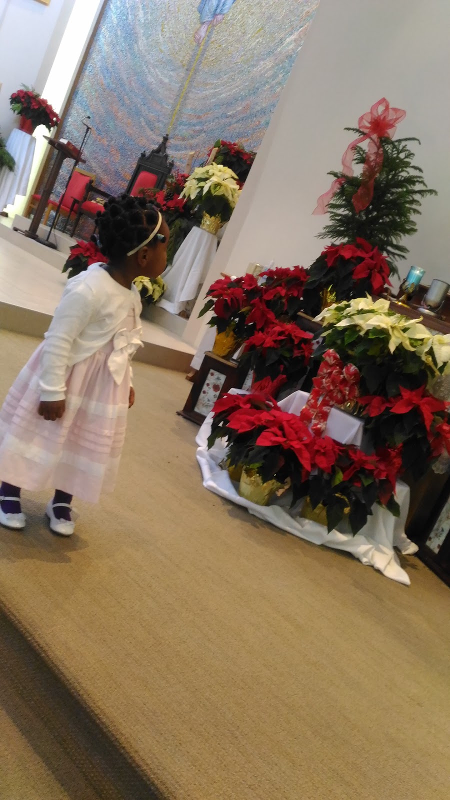 Our Lady of the Airways Church | 7407 Darcel Ave, Mississauga, ON L4T 2X5, Canada | Phone: (905) 677-4615