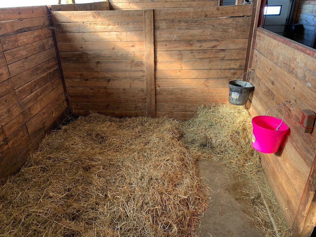 Freehand Farm Inc. | 5868 Penetanguishene Rd, Elmvale, ON L0L 1P0, Canada | Phone: (416) 844-4685