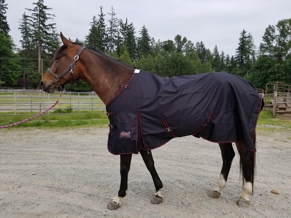 Hill Top Tack & Authorized Canpressco Dealer | Warkworth, ON K0K 3K0, Canada | Phone: (705) 868-1030