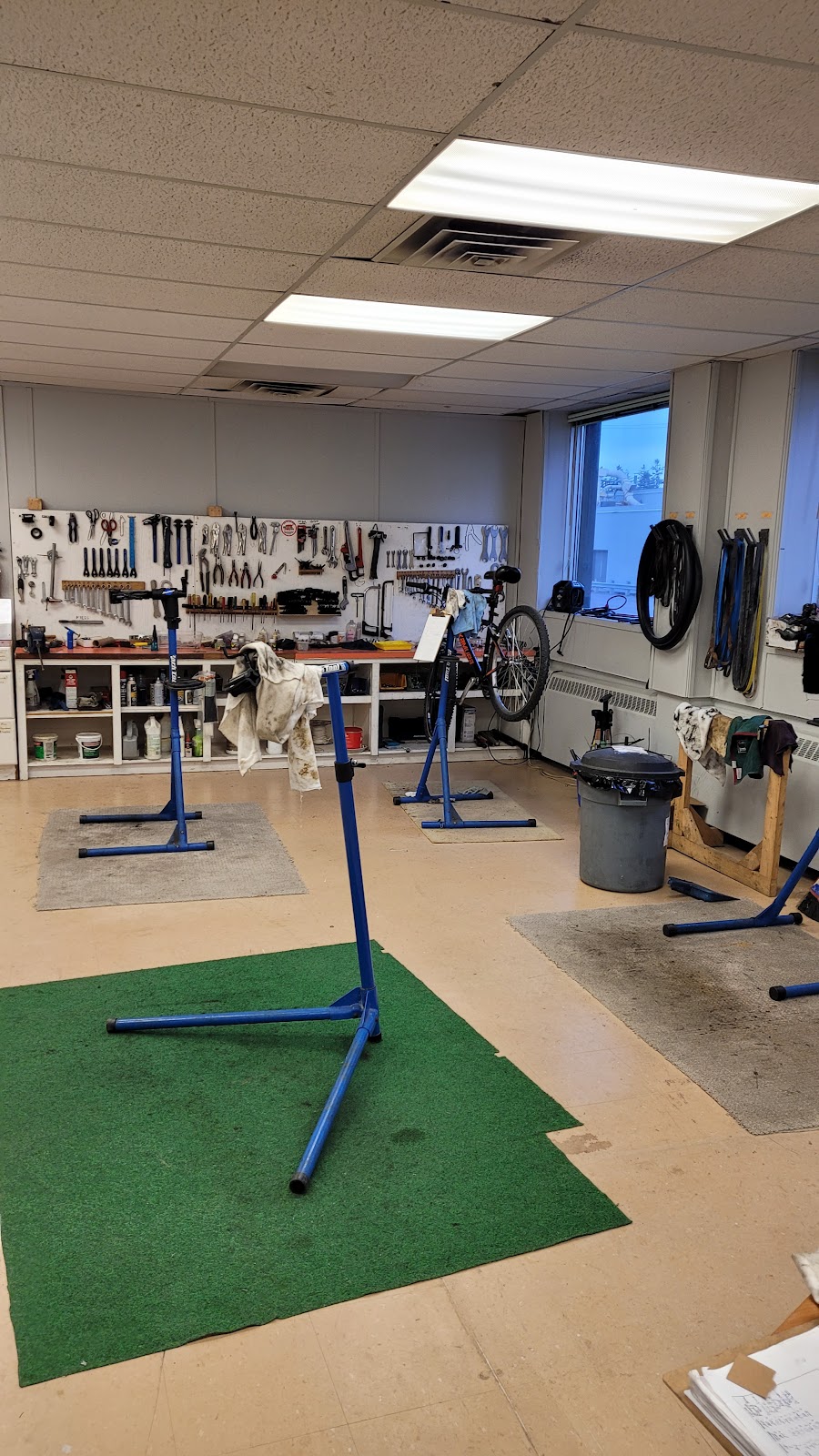 Cycle Transitions | 740 Division St Building 17, Cobourg, ON K9A 0H6, Canada | Phone: (289) 251-8895