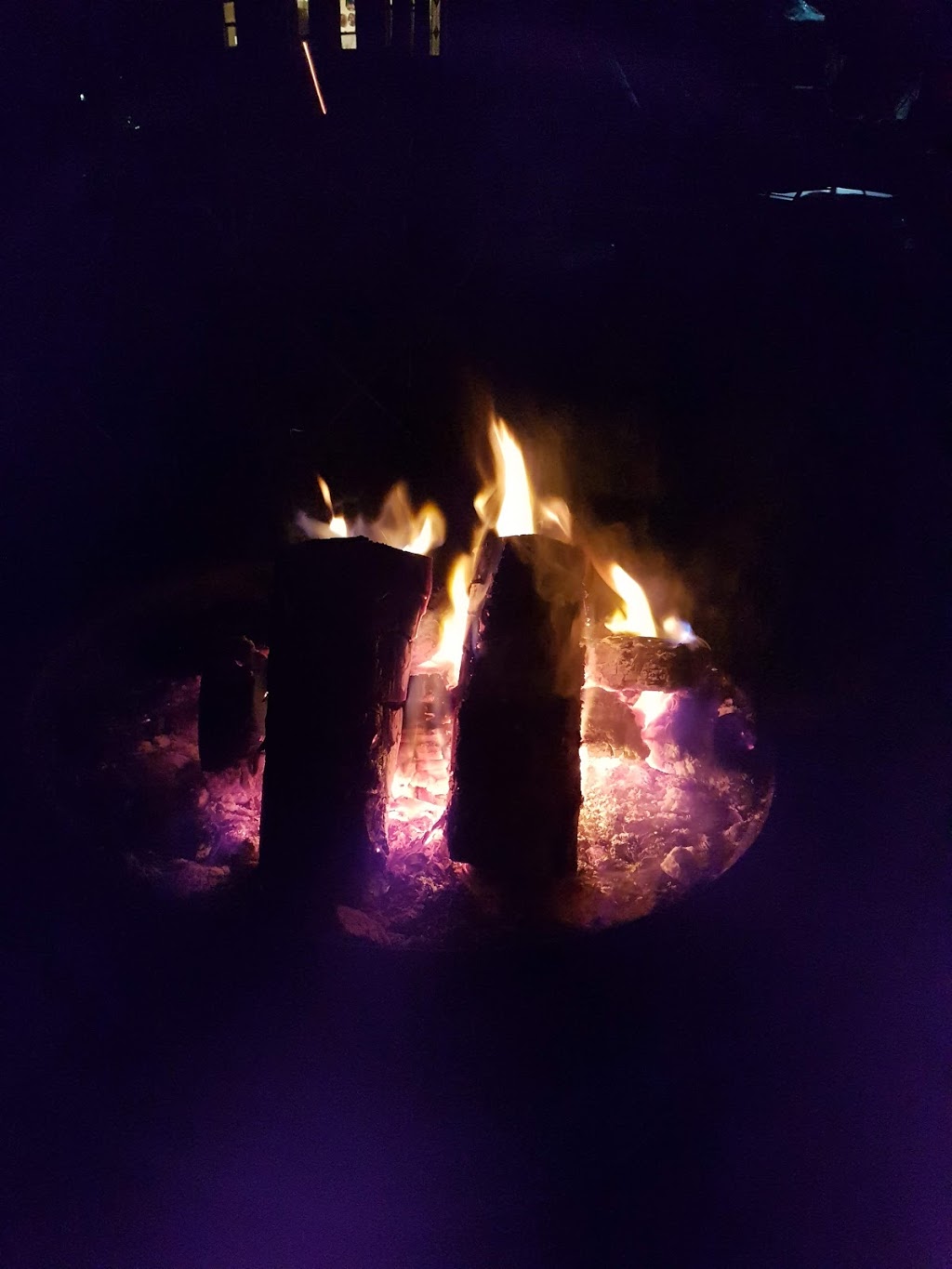 Meadow Springs Lodge | Fire Rte 123 #4, Harvey Township, ON K0M 1A0, Canada | Phone: (705) 731-9132