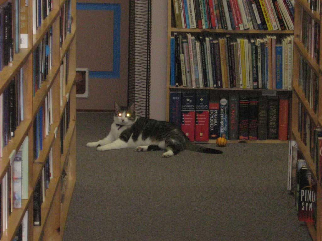 Companion Books | 4094 Hastings St, Burnaby, BC V5C 2H9, Canada | Phone: (604) 293-2665