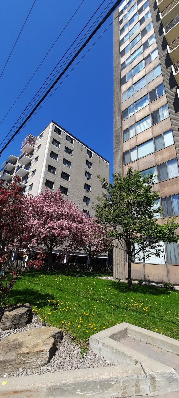 The Town House Apartments | 7915 Chem. de la Côte-Saint-Luc, Côte Saint-Luc, QC H4W 1R4, Canada | Phone: (514) 549-2833
